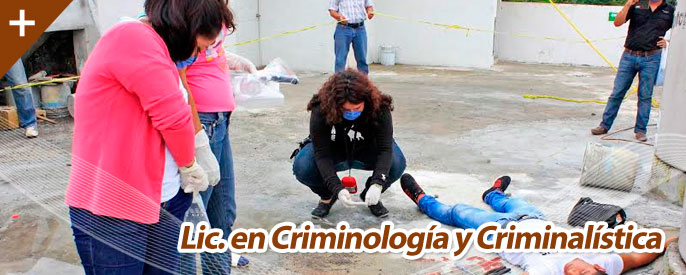 img_criminalistica
