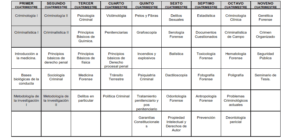 plan_ciminologia